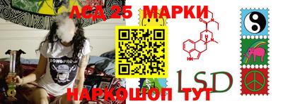 гашик Камышлов