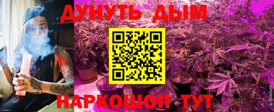 гашик Камышлов