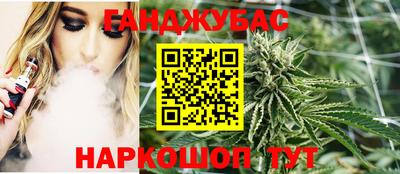 гашик Камышлов