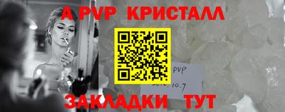 гашик Камышлов