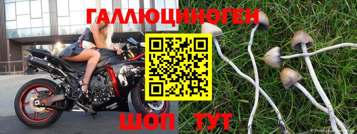 ГАШ  Вход с VPN  Бошки Шишки  MDMA  Alpha-PVP СК кристаллы  Мефедрон кристаллы  МЕТАМФЕТАМИН  Кумертау  COCAIN 