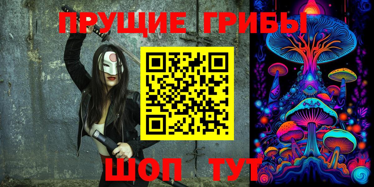 Галлюциногенные грибы Psilocybine cubensis Кумертау
